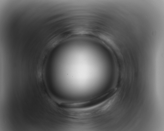 X0000088901273200706151841