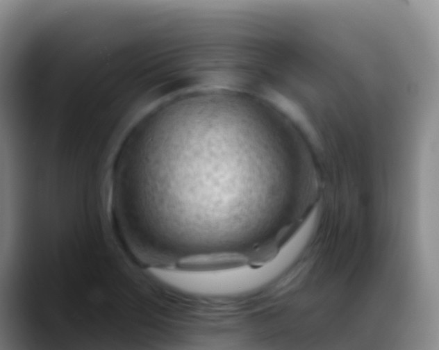 X0000088901275200706151841
