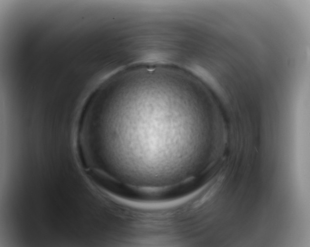 X0000088901277200706151841