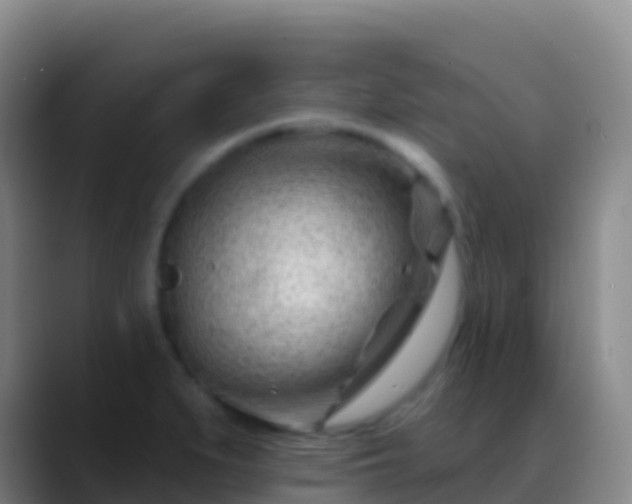 X0000088901279200706151841