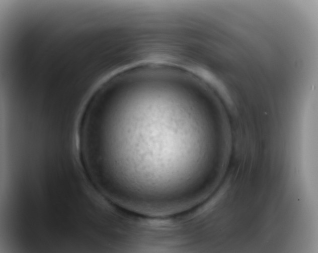 X0000088901280200706151841