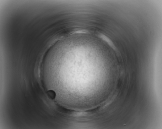 X0000088901282200706151841