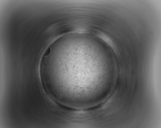 X0000088901283200706151841