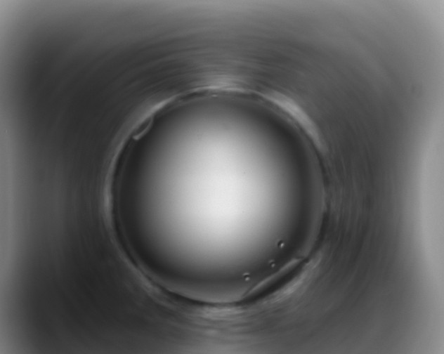 X0000088901285200706151841