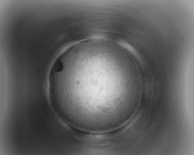 X0000088901286200706151841