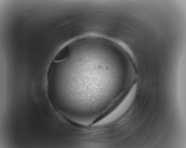 X0000088901287200706151841