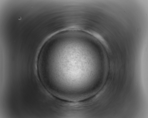 X0000088901288200706151841