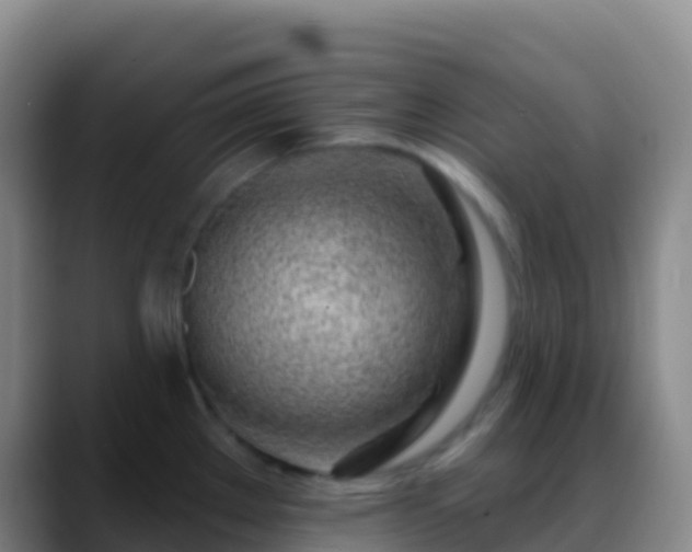 X0000088901289200706151841