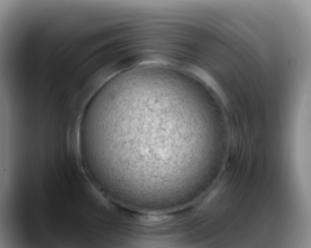 X0000088901290200706151841