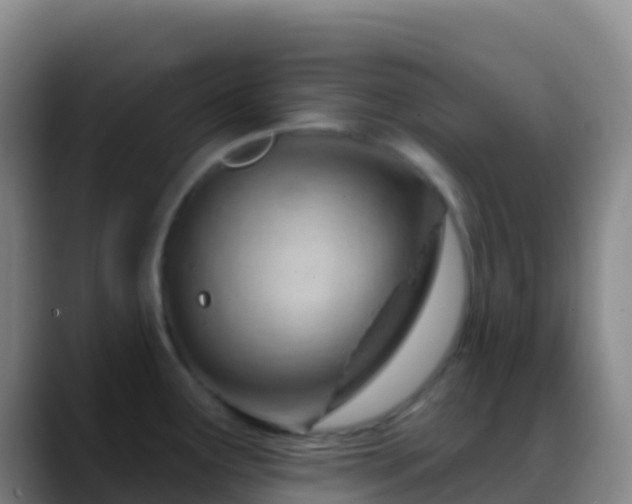 X0000088901291200706151841