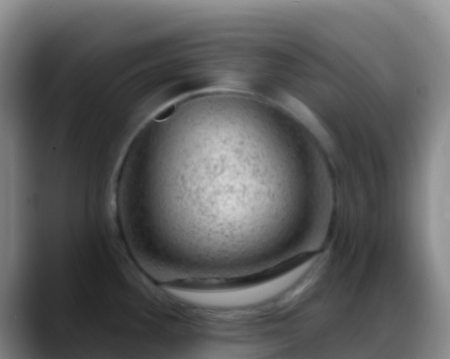 X0000088901292200706151841