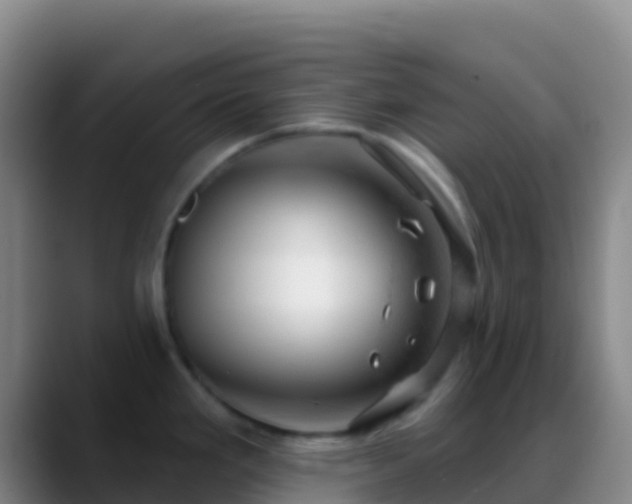 X0000088901293200706151841