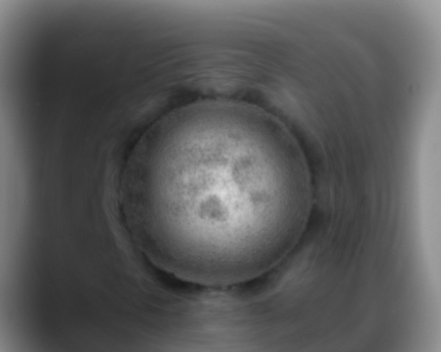 X0000088901297200706151840