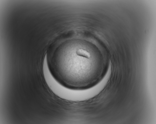 X0000088901298200706151840