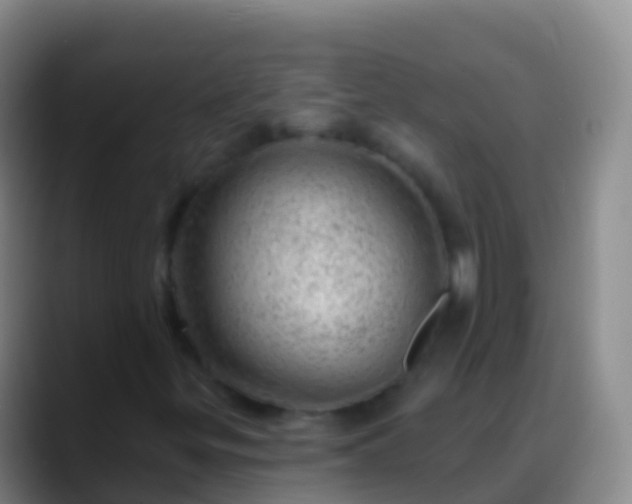 X0000088901299200706151840