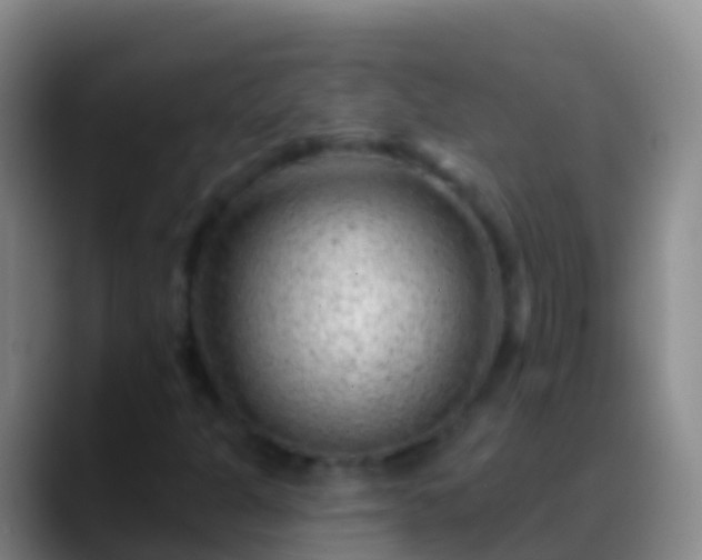 X0000088901301200706151840
