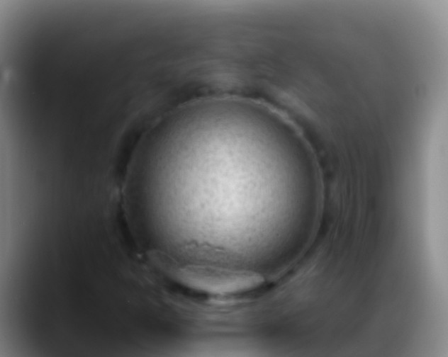 X0000088901302200706151840