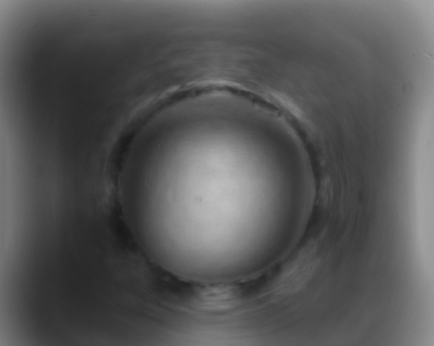 X0000088901303200706151840