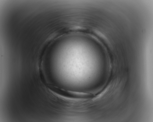 X0000088901305200706151840