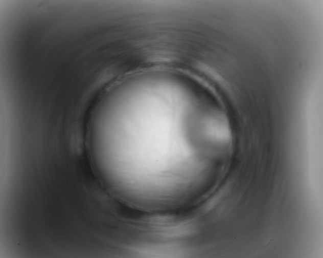 X0000088901306200706151840