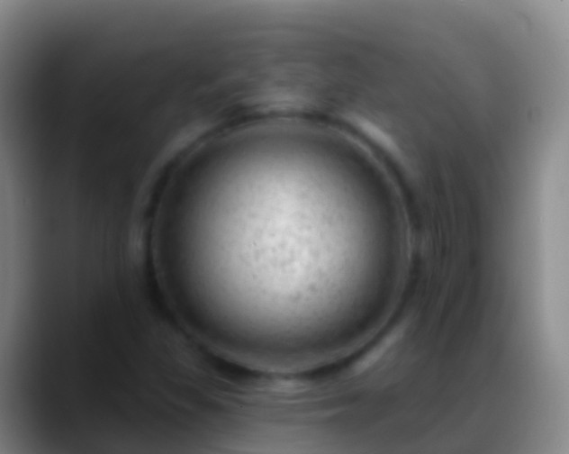 X0000088901309200706151840
