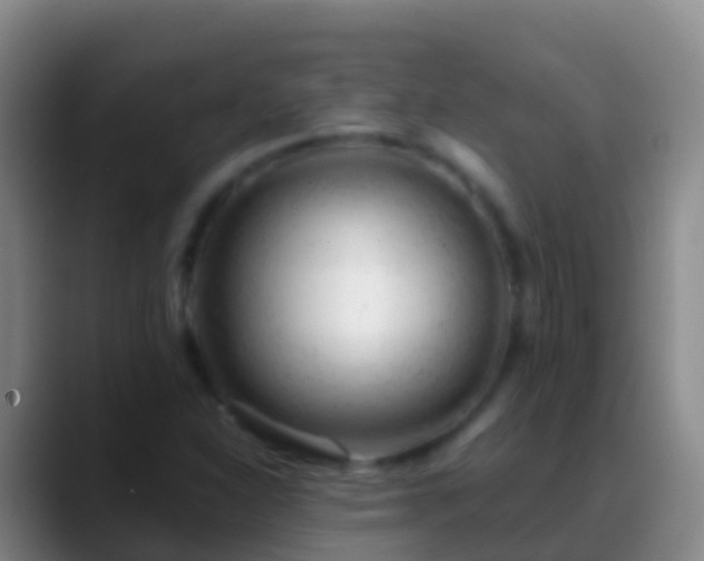 X0000088901310200706151840