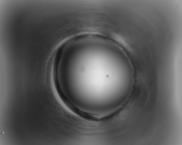 X0000088901312200706151840