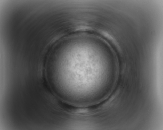X0000088901313200706151840