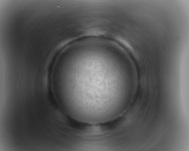 X0000088901315200706151840
