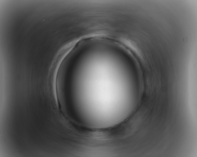 X0000088901316200706151840