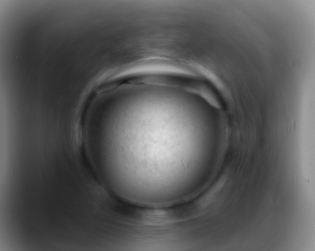X0000088901317200706151840
