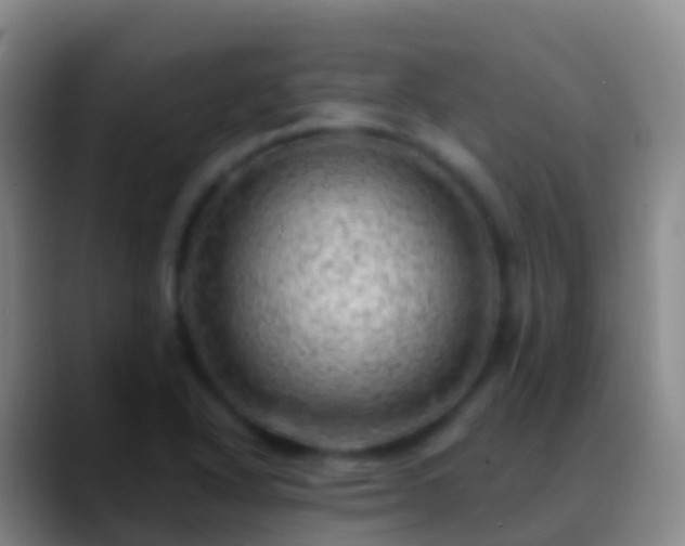 X0000088901318200706151840
