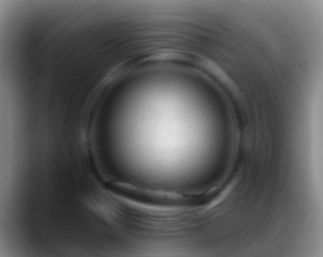X0000088901321200706151840