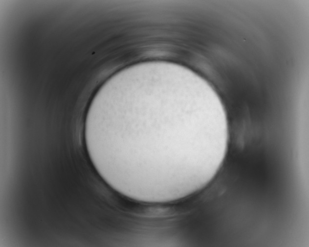X0000088901322200706151841