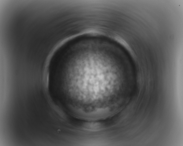 X0000088901323200706151841