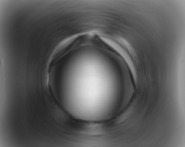 X0000088901324200706151841