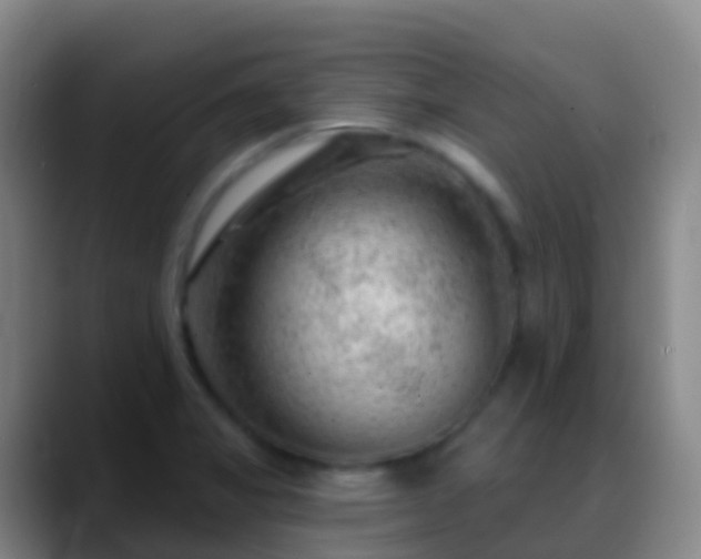 X0000088901325200706151841