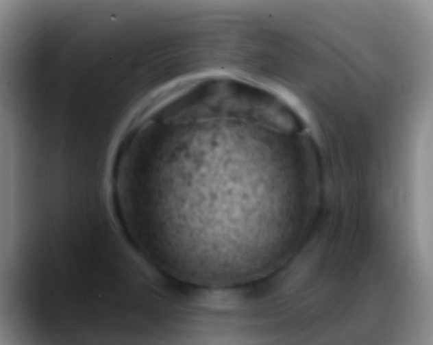 X0000088901327200706151841