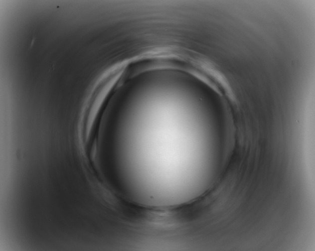 X0000088901328200706151841