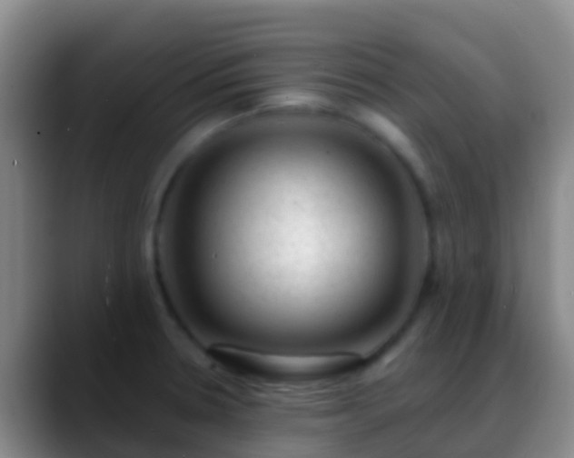 X0000088901330200706151841