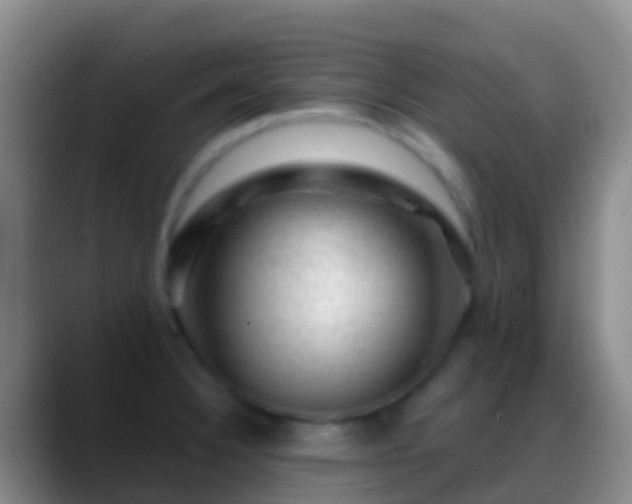 X0000088901332200706151841