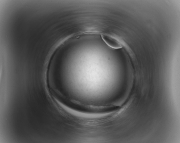 X0000088901333200706151841