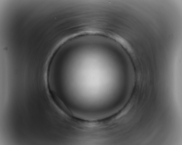 X0000088901334200706151841