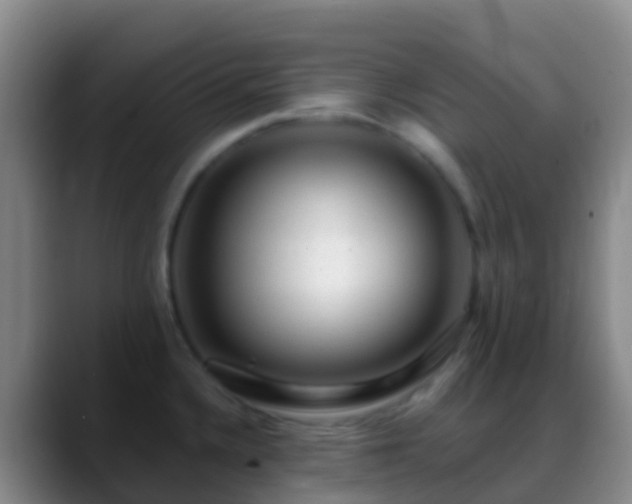 X0000088901336200706151841