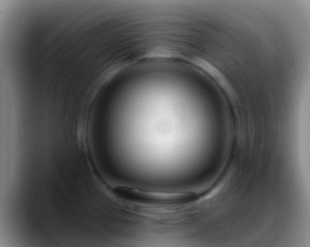 X0000088901337200706151841