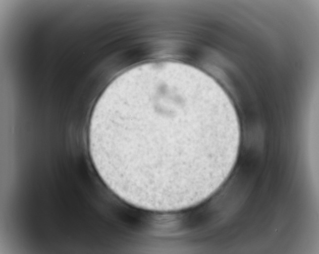 X0000088901338200706151841
