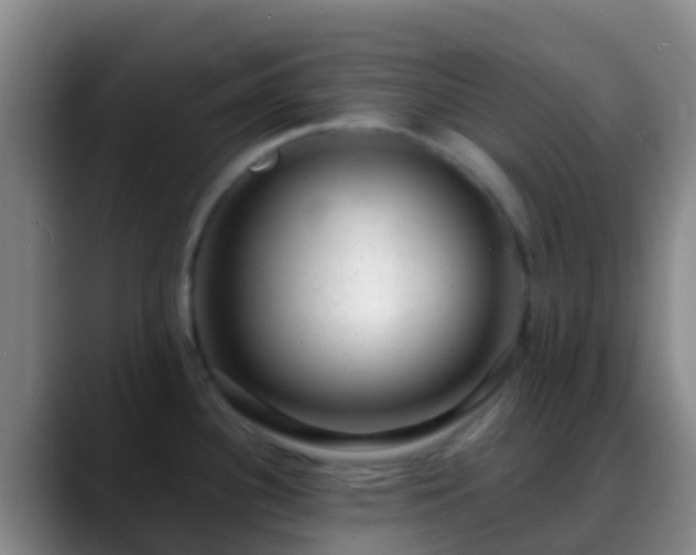 X0000088901340200706151841