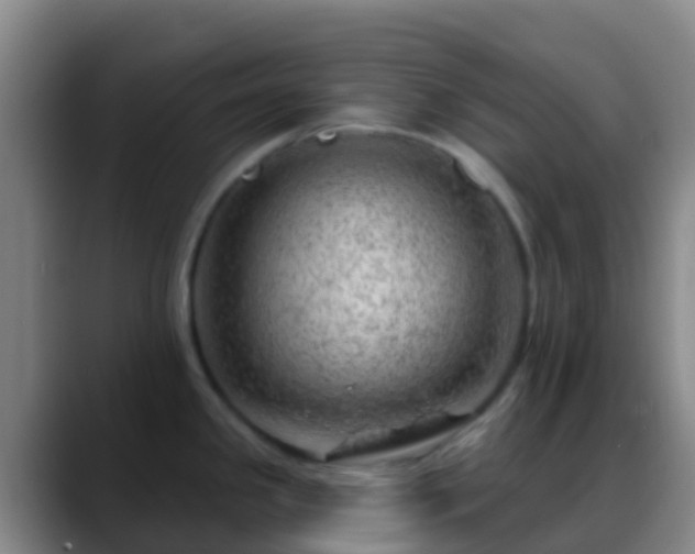 X0000088901341200706151841