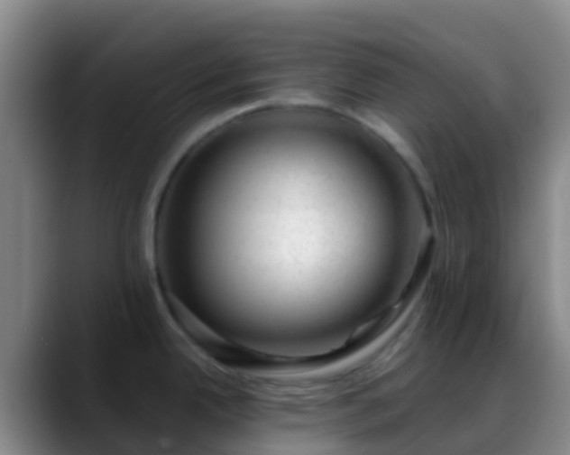 X0000088901342200706151841