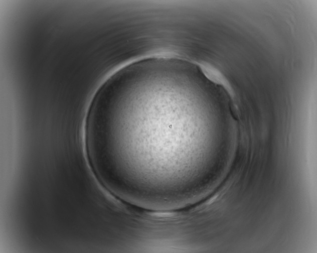 X0000088901343200706151841